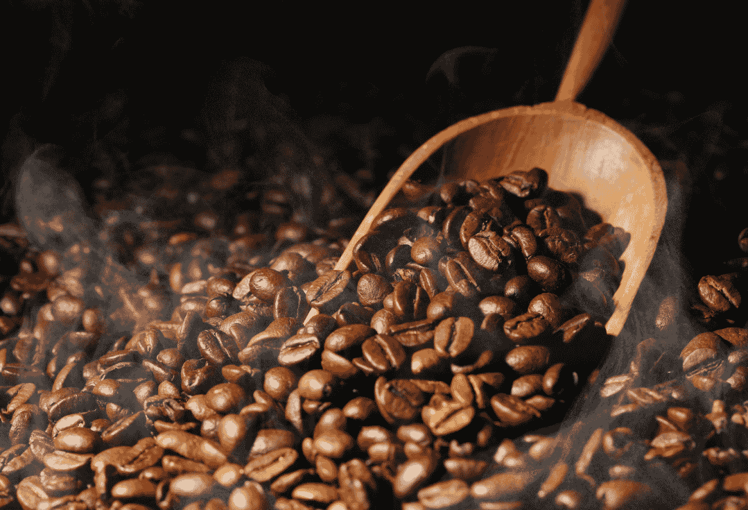 coffee bean